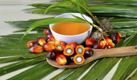 Производители «пальмы» ожидают её лидерства на мировом рынке масел